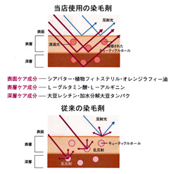おしゃれ染め・仙台市　ツヤ効果の模式図