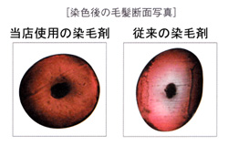 おしゃれ染め・仙台市　染色後の毛髪断面図