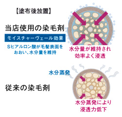 おしゃれ染め・仙台市　塗布後の模式図