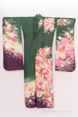 振袖 貸衣装レンタル 赤系