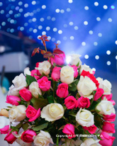 仙台市 写真館 写真スタジオのロイヤル不動産・店舗等の商業写真