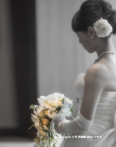 仙台市 写真館 写真スタジオのロイヤル不動産・店舗等の商業写真