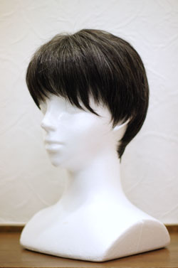 仙台市男性用かつら（ウイッグ）白髪入り