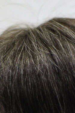 仙台市男性用かつら（ウイッグ）白髪入り